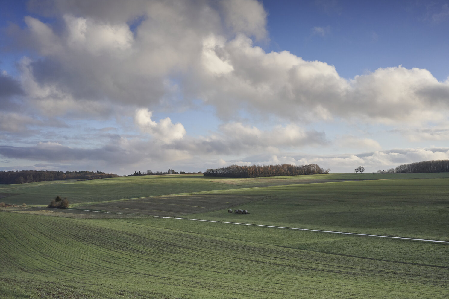 Passing Light Over Fields Sigitas Baltramaitis