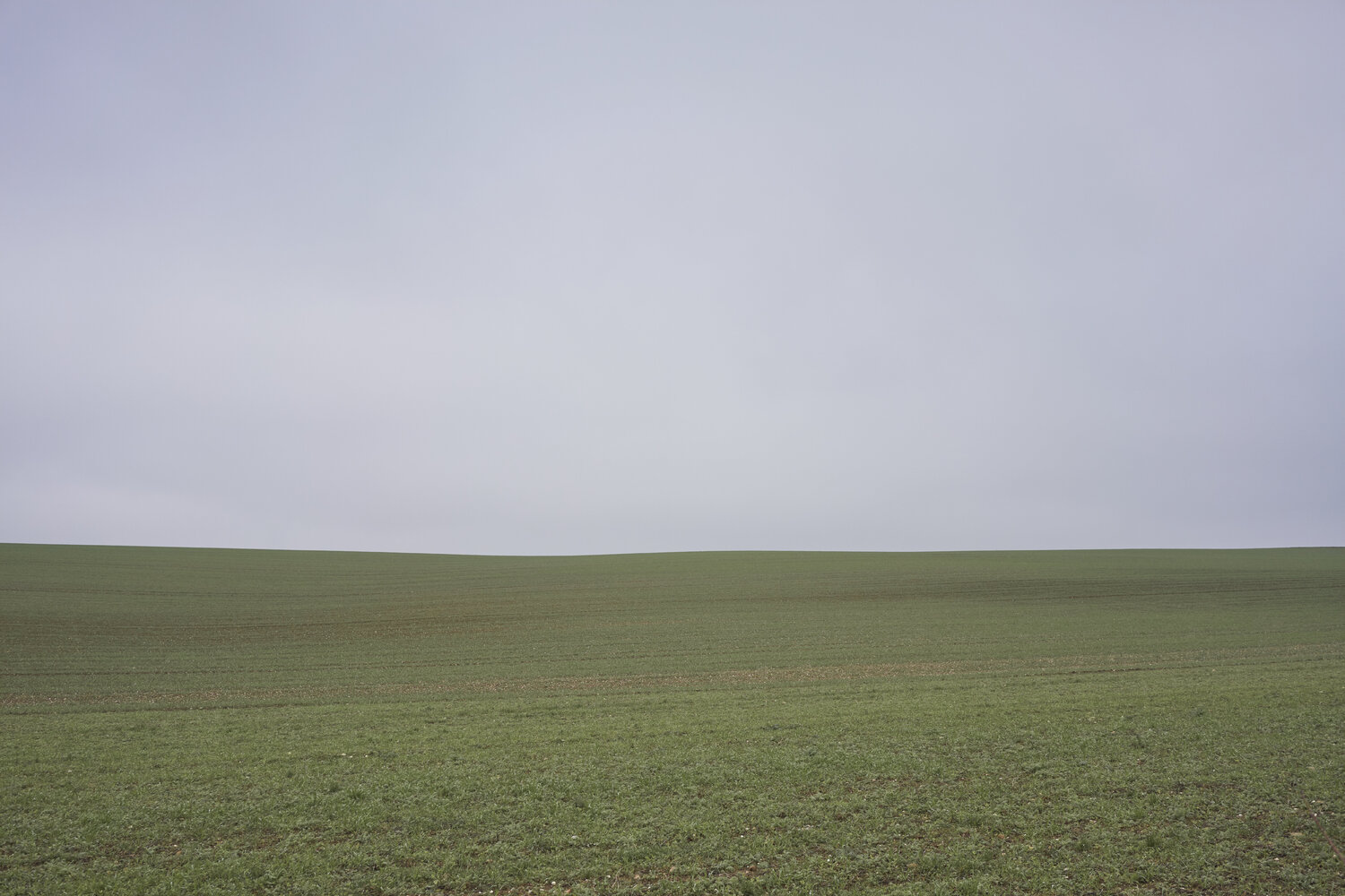 Horizon, Barely There Sigitas Baltramaitis