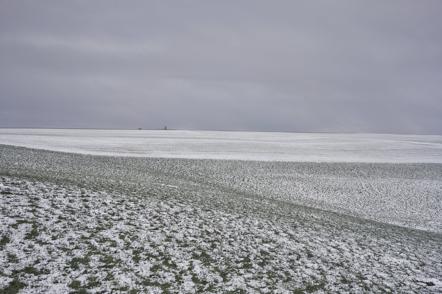Winter Field, Fellerich Sigitas Baltramaitis Fotografia in vendita