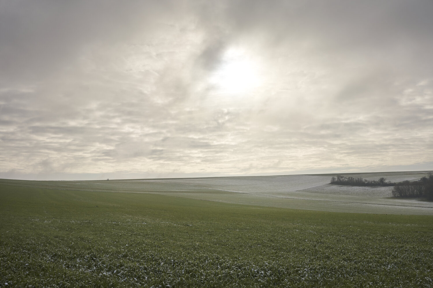 Winter Light, Fellerich Sigitas Baltramaitis