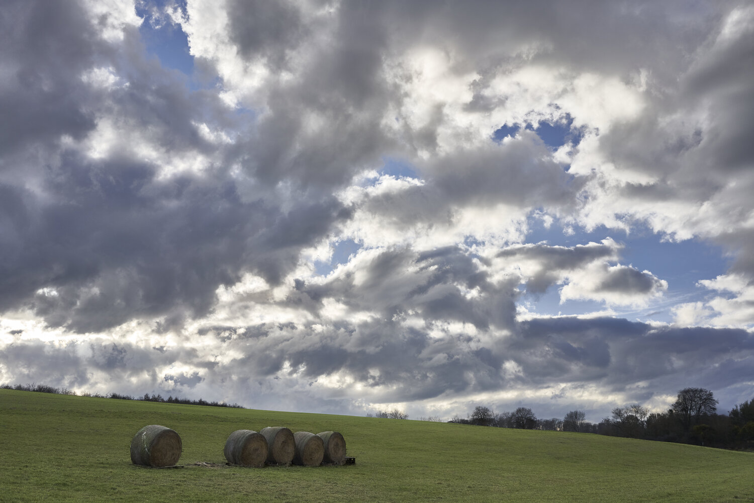 Passing Weather, Quiet Field Sigitas Baltramaitis