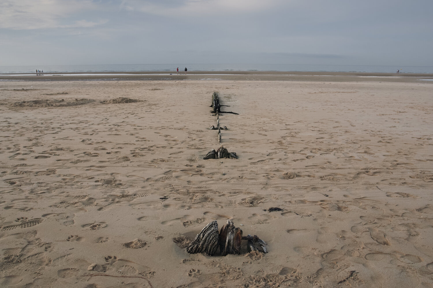 Line to the Horizon Sigitas Baltramaitis