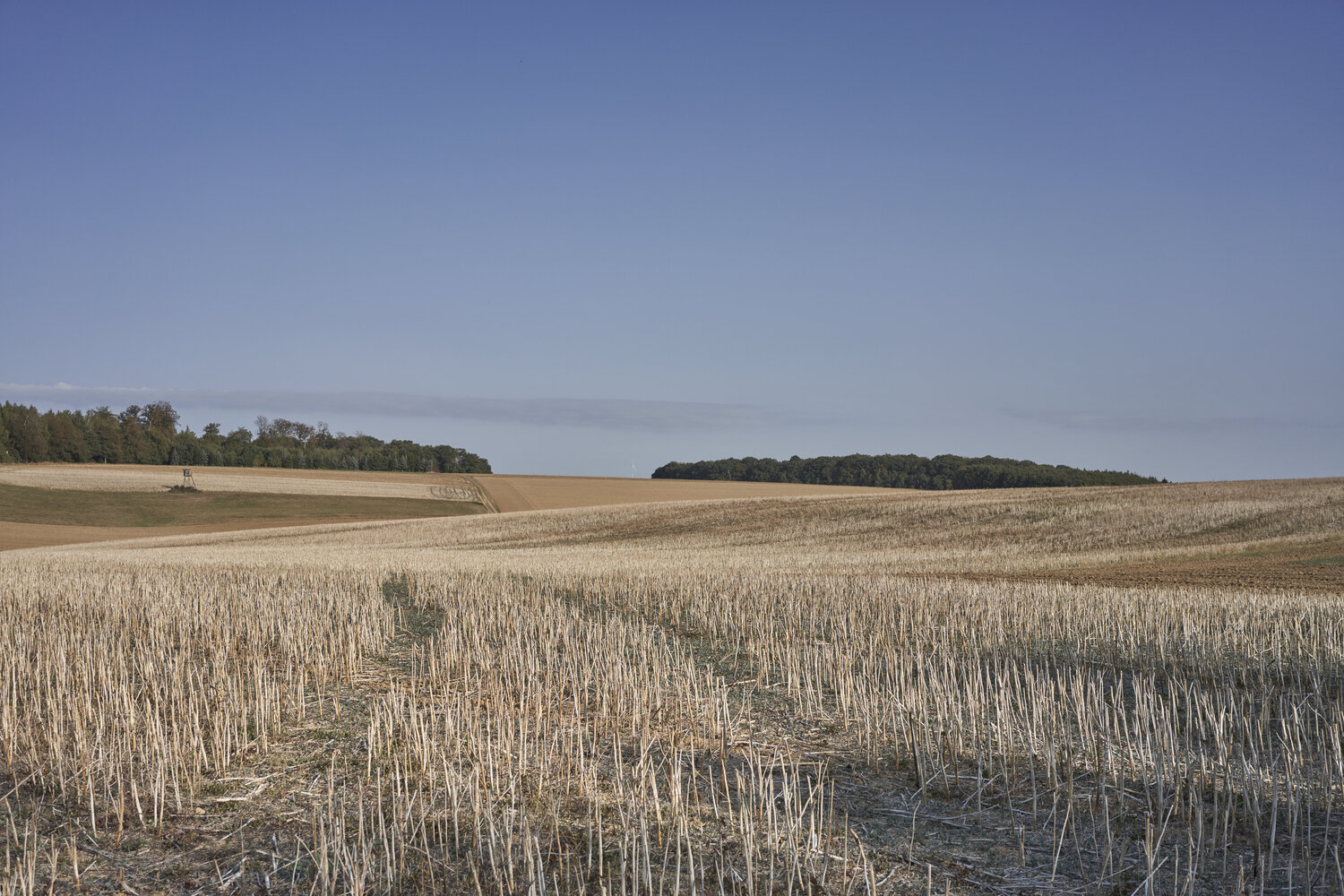 Harvested Fields Sigitas Baltramaitis Photography for sale