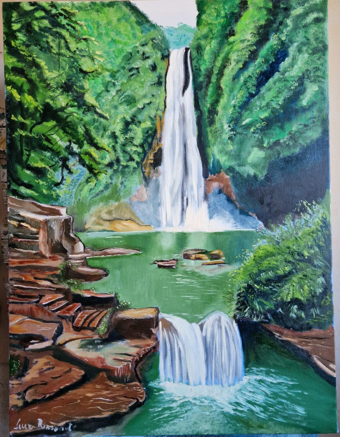 Foresta pluviale luca Ripamonti
