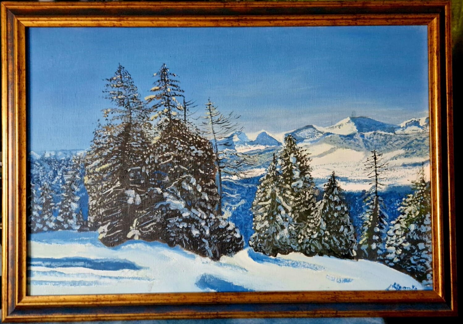 VEDUTA INVERNALE AUSTRIA luca Ripamonti