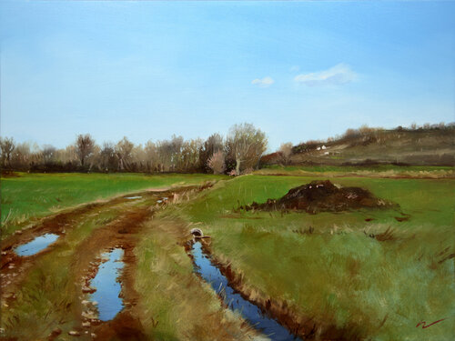 Campo di Wolfango Chiappella, Pittura in vendita su Singulart