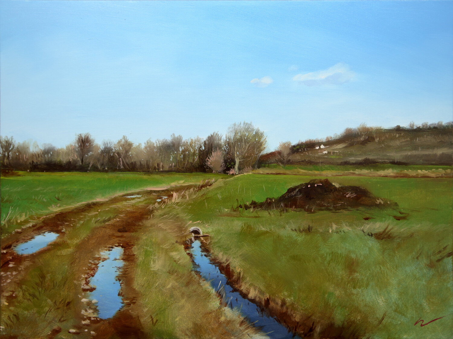 Campo Wolfango Chiappella