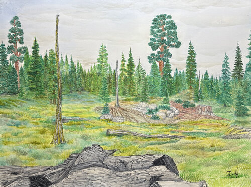 Sierra Logging Camp van John Hazel, Werk op papier te koop op Singulart