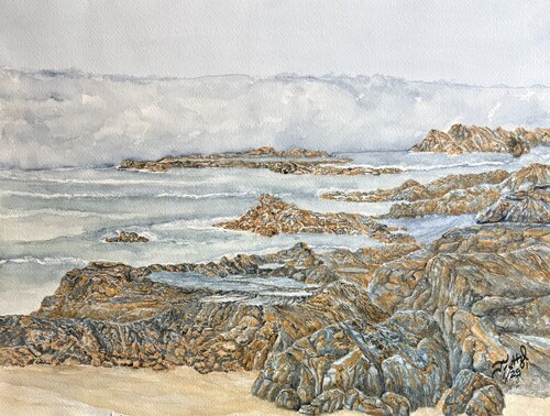 Tidepool Wary van John Hazel, Werk op papier te koop op Singulart