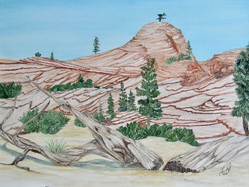 Zion, Just off the Road di John Hazel, Opera su carta in vendita su Singulart