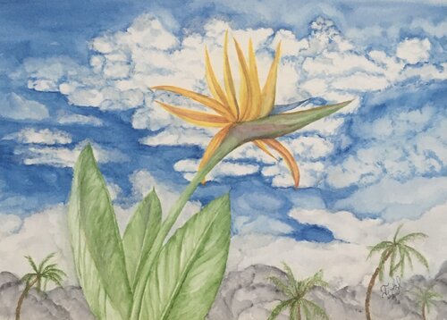 I Belong in Paradise by John Hazel, Work on Paper for Sale on Singulart