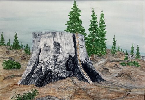 Chicago Stump Revisited John Hazel