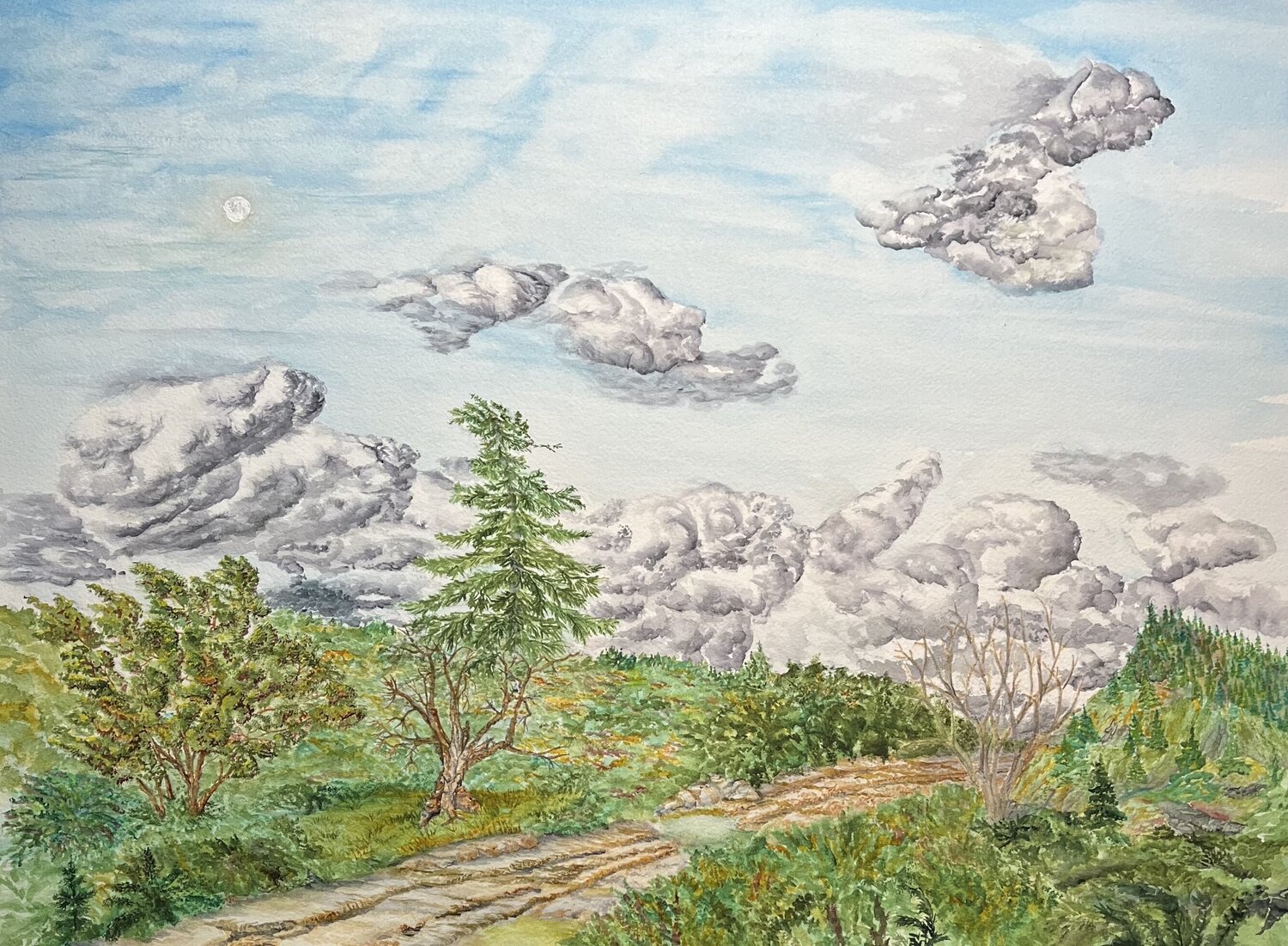 Daytime Moon John Hazel