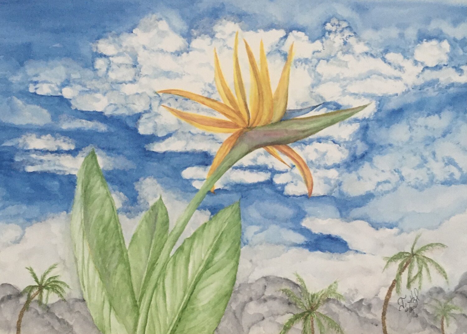 I Belong in Paradise John Hazel