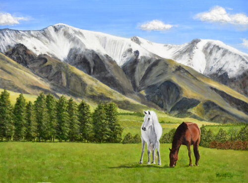 Grazing At Molesworth Station di Peter Whitcombe, Pittura in vendita su Singulart