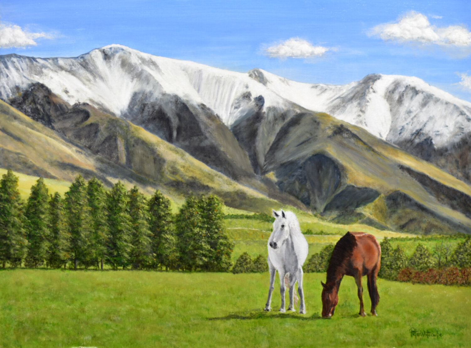 Grazing At Molesworth Station Peter Whitcombe