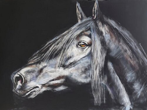 portrait de cheval: Pur sang gris van Christine DESTOUCHES Bourriquet, Schilderij te koop op Singulart