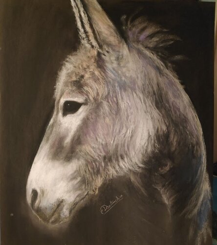 Ane gris van Christine DESTOUCHES Bourriquet, Schilderij te koop op Singulart