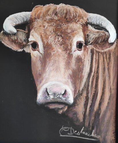 vache limousine van Christine DESTOUCHES Bourriquet, Schilderij te koop op Singulart