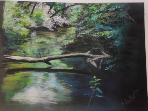 Bords de vienne von Christine DESTOUCHES Bourriquet, Zeichnungen kaufen auf Singulart