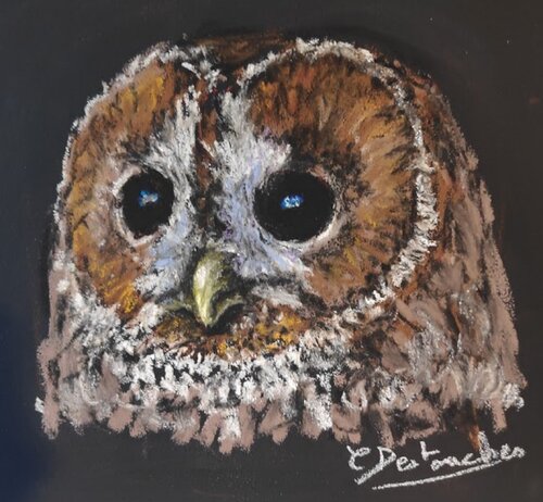 Chouette by Christine DESTOUCHES Bourriquet, Painting for Sale on Singulart