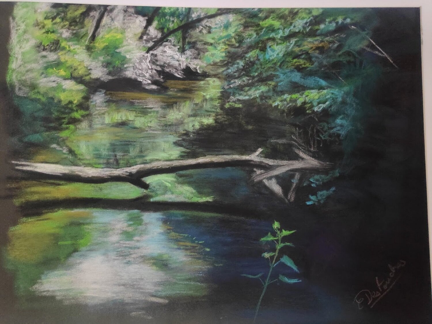 Bords de vienne Christine DESTOUCHES Bourriquet