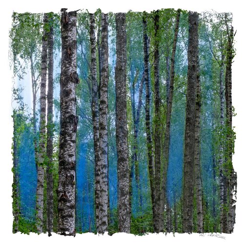 "Blau Durchflutet" van Ari Nahor, Digitaal te koop op Singulart