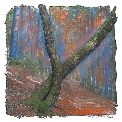 "Dancing Trees" van Ari Nahor, Digitaal te koop op Singulart