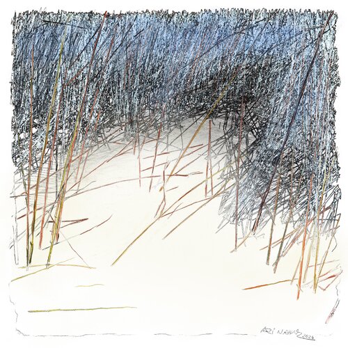 "Stalks in the Snow" van Ari Nahor, Digitaal te koop op Singulart