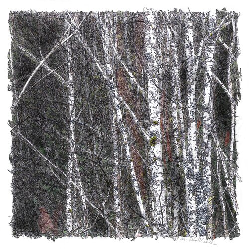 "White Trees at Night" van Ari Nahor, Digitaal te koop op Singulart