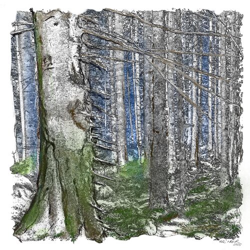 "Norwegian Forest" van Ari Nahor, Digitaal te koop op Singulart