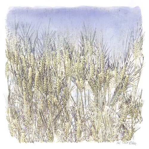 "Champ de Blé" von Ari Nahor, Digital kaufen auf Singulart