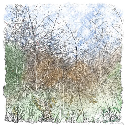 "Gebüsch" by Ari Nahor, Digital for Sale on Singulart