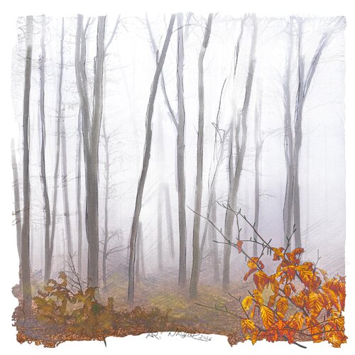 "Mystischer Wald" van Ari Nahor, Digitaal te koop op Singulart
