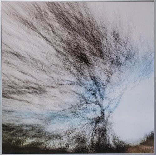 Baum vor blauem Himmelsstreifen van Ari Nahor, Fotografie te koop op Singulart