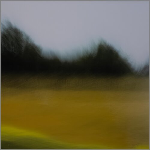 Gelbes Feld by Ari Nahor, 사진 for Sale on Singulart