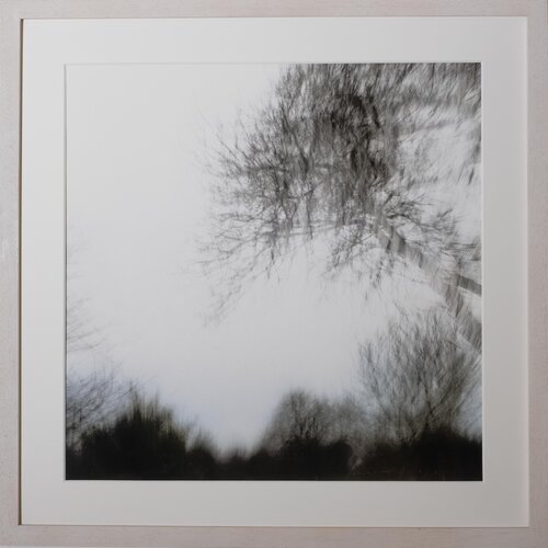 Baumwipfel von Ari Nahor, Fotografie kaufen auf Singulart