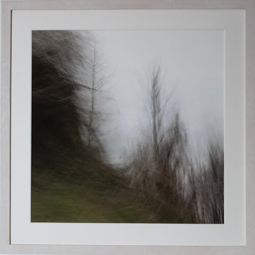 Waldrand by Ari Nahor, Photography for Sale on Singulart