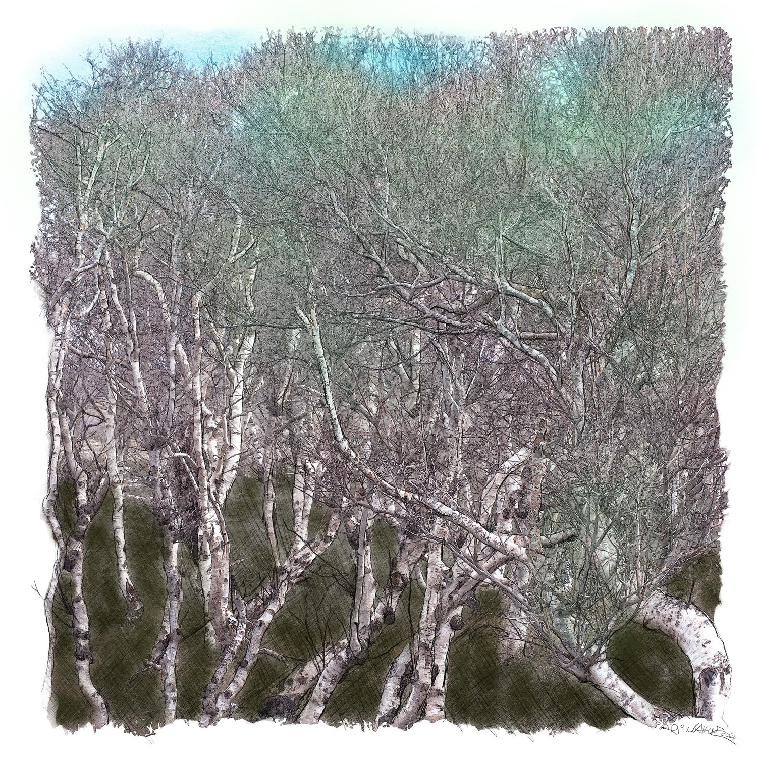 "Birkenwald" Ari Nahor