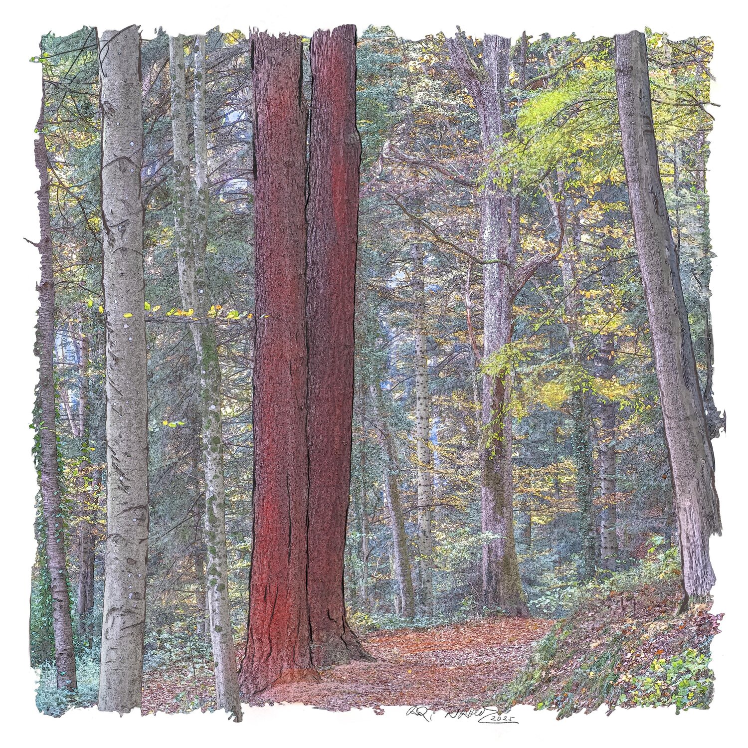 "L´ automne en Forêt-Noire" Ari Nahor