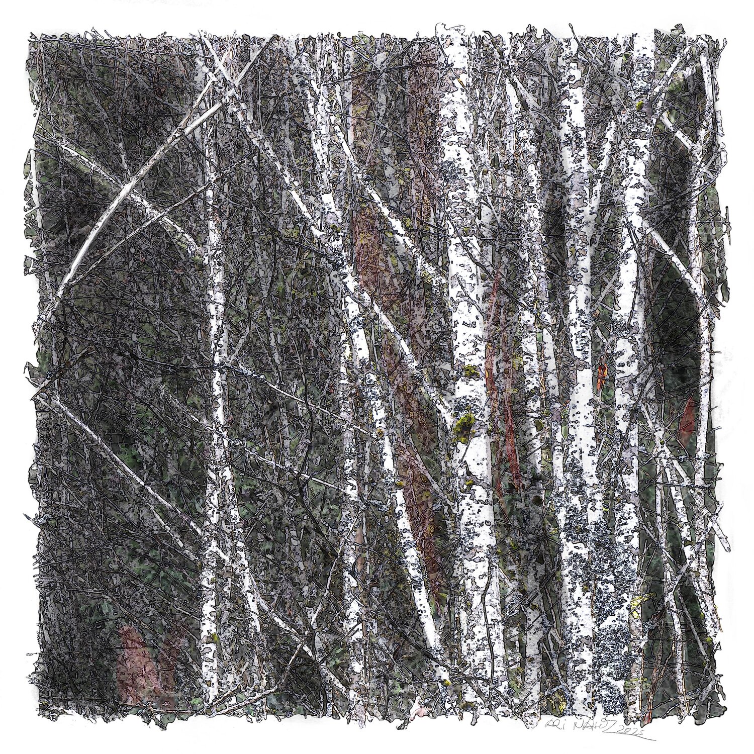 "White Trees at Night" Ari Nahor
