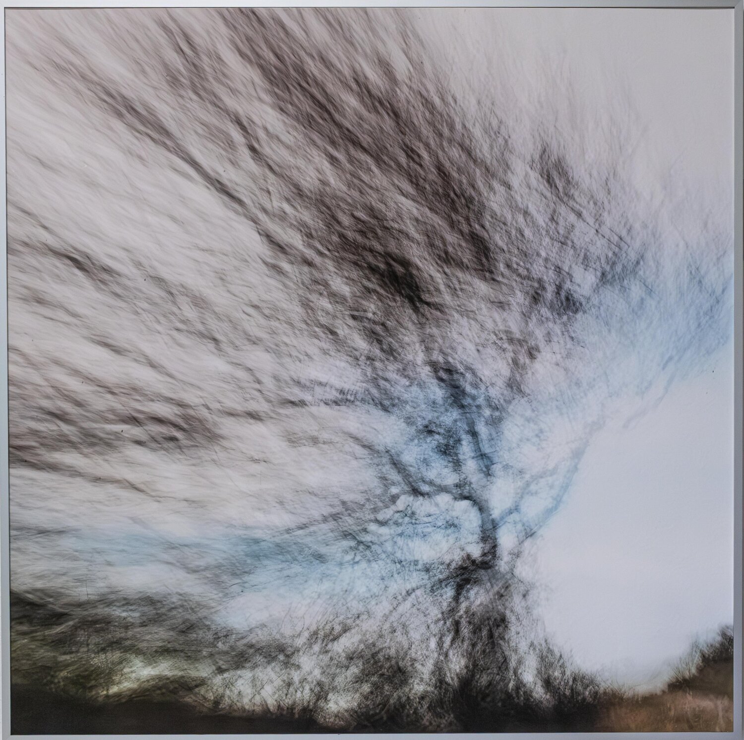 Baum vor blauem Himmelsstreifen Ari Nahor