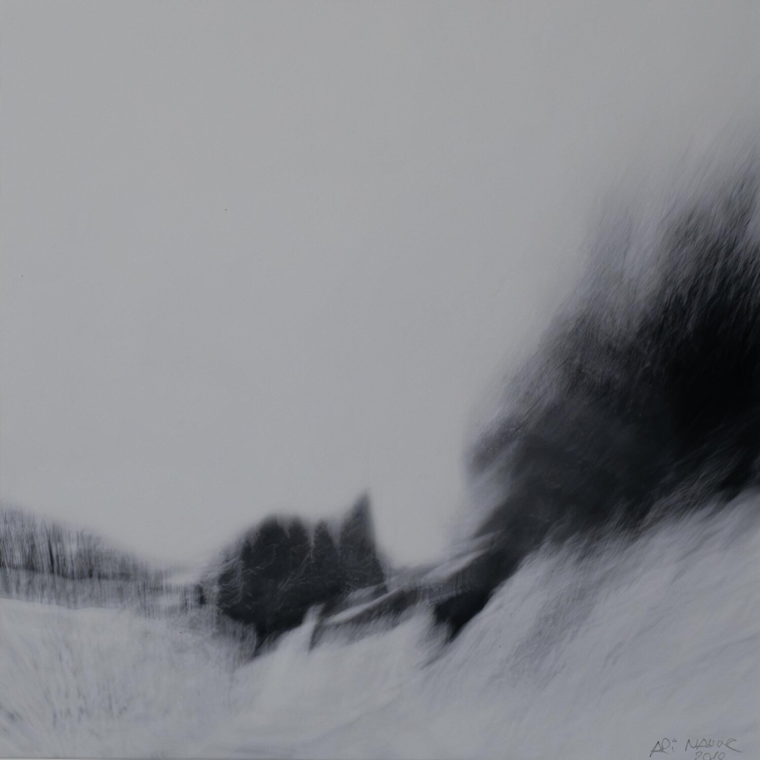 Winterland Ari Nahor Fotografie te koop