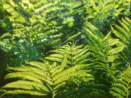 Lady Ferns (Athyrium filix-femina ) di Mark LaRiviere, Pittura in vendita su Singulart