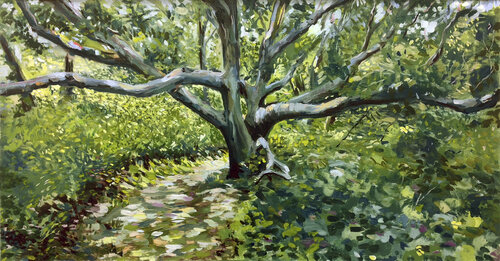 White Oak on Chappaquiddick di Mark LaRiviere, Pittura in vendita su Singulart