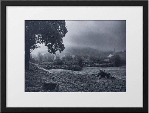 Stowe Morning Mist - Original Platinum/Palladium Print di Mark LaRiviere, Fotografia in vendita su Singulart