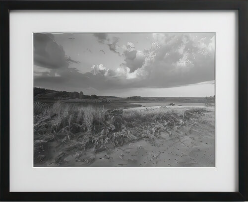 Vineyard Solstice Sunset - Original Platinum/Palladium Print di Mark LaRiviere, Fotografia in vendita su Singulart