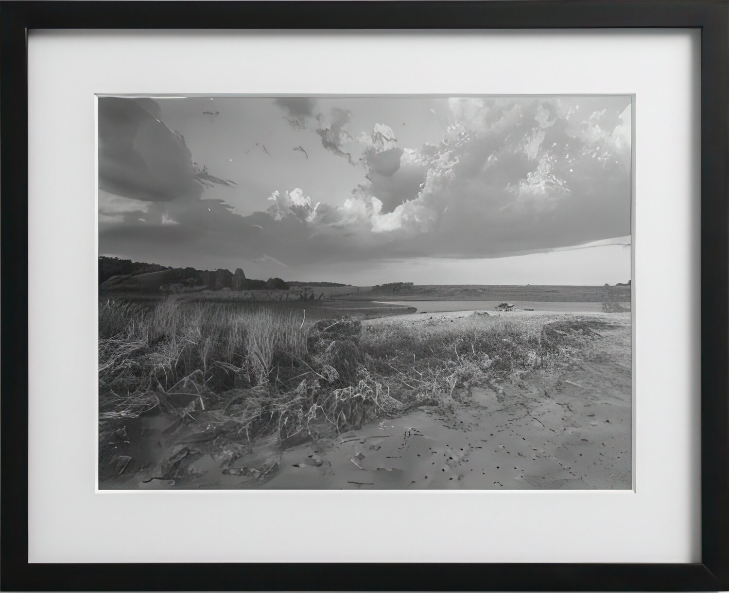 Vineyard Solstice Sunset - Original Platinum/Palladium Print Mark LaRiviere