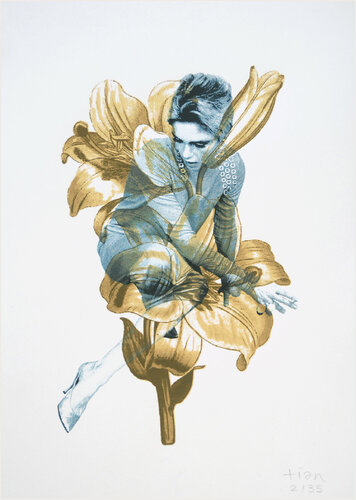 Edie and the lilies (sérigraphies sur papier) by TIAN, Print for Sale on Singulart