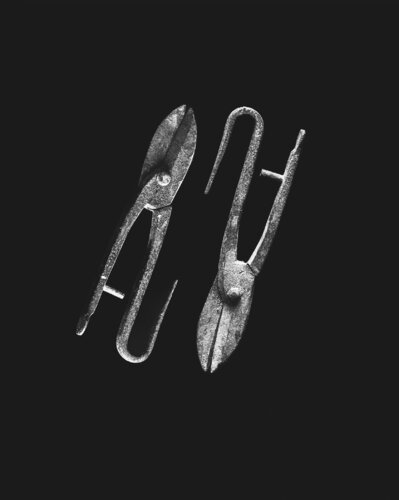 TRACES OF A UNION P#07 van STRUUNT, Fotografie te koop op Singulart